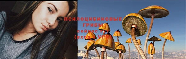 гидра Бородино
