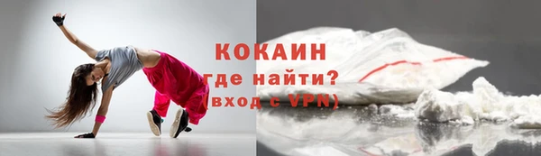гидра Бородино