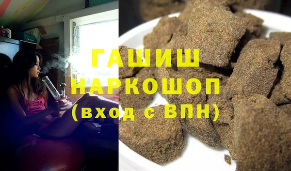 гидра Бородино