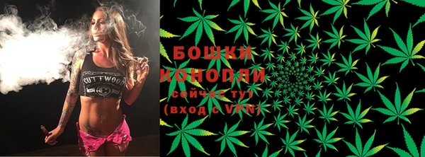 гидра Бородино