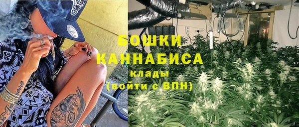 гидра Бородино