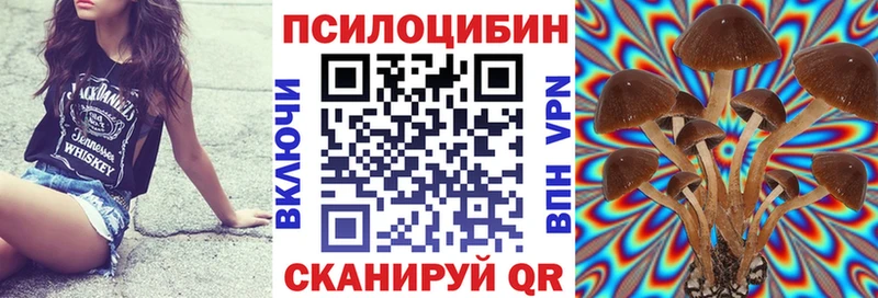 Галлюциногенные грибы мицелий  Купить где  Сергач 