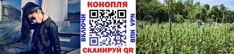Купить где  Сергач  Шишки марихуана марихуана 